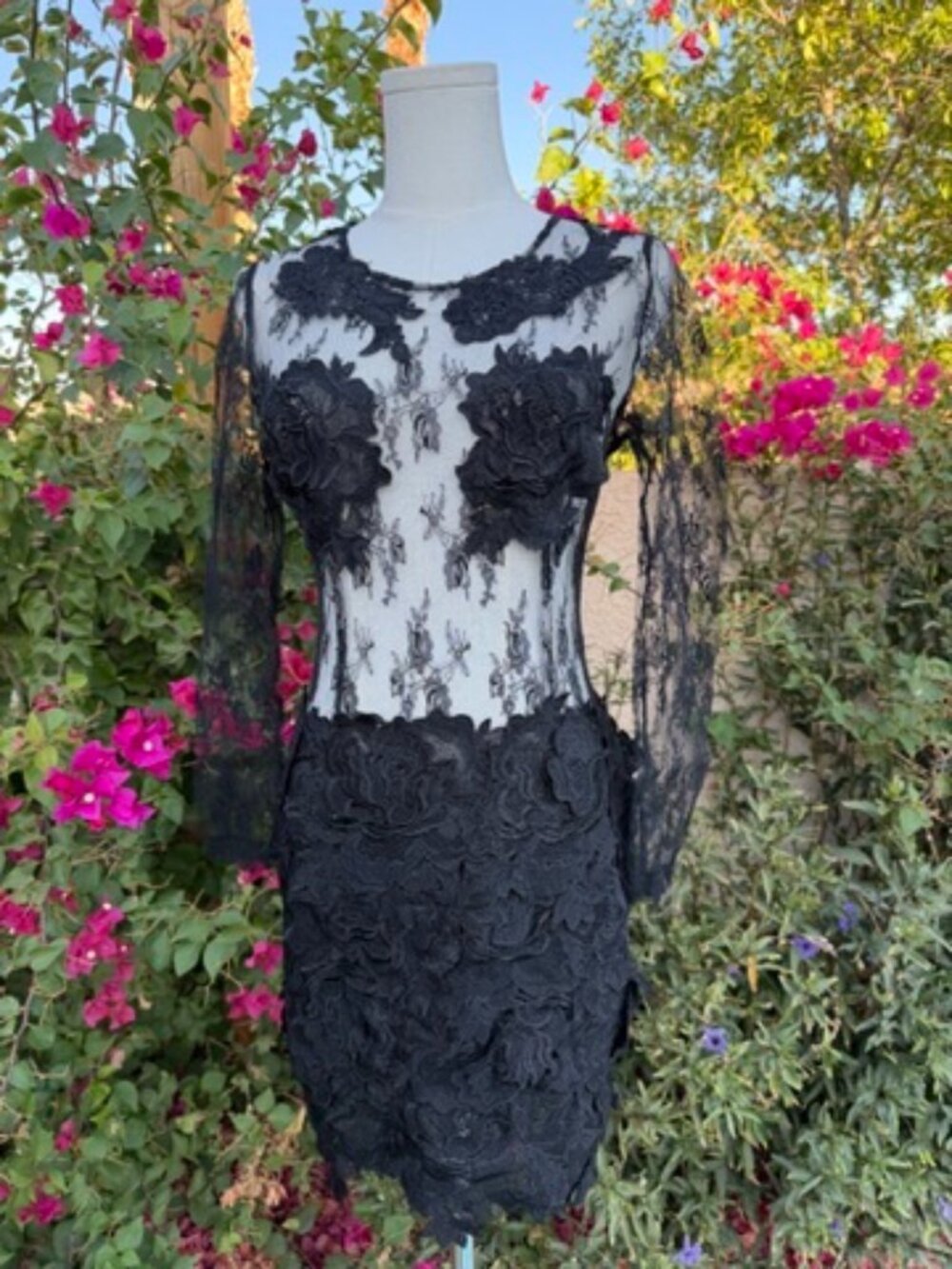 Stunning Gothic Lace Dress